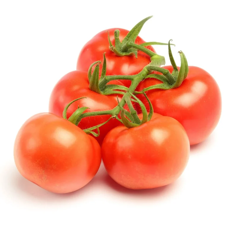 Red Vine Tomatoes