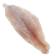catfish