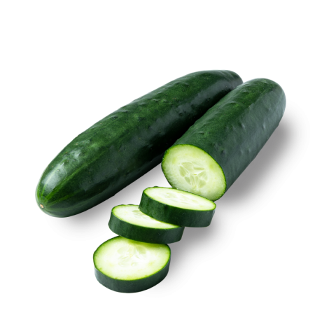 Fresh Cucumber