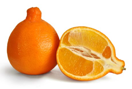 Mineola Tangelo