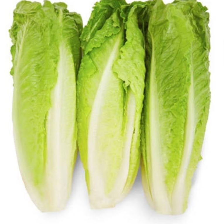 Romaine lettuce