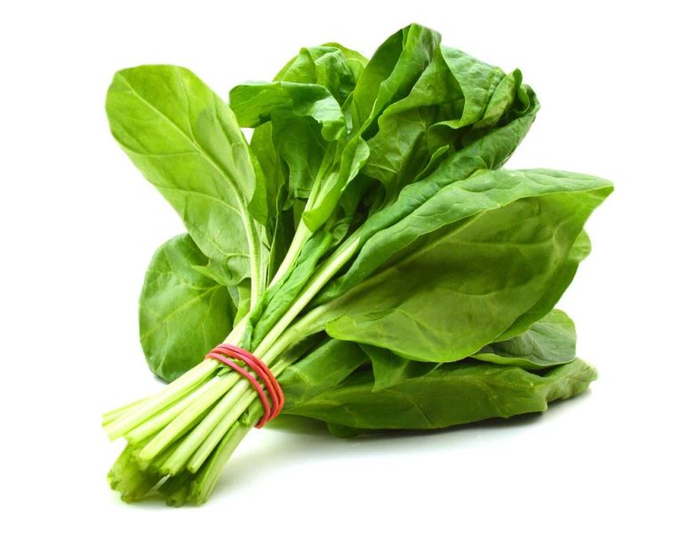 SPINACH