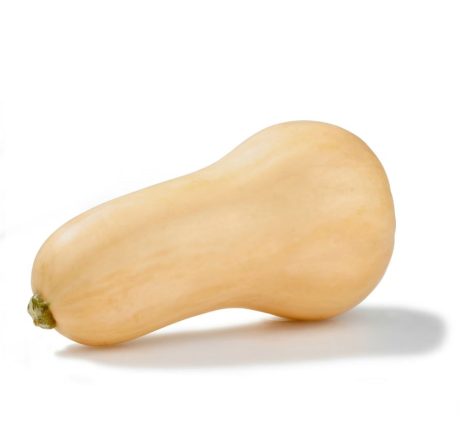 Butternut Squash