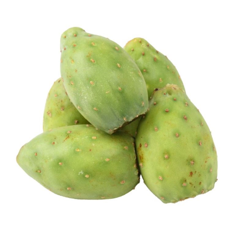 cactus pear