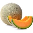 Fresh Cantaloupe