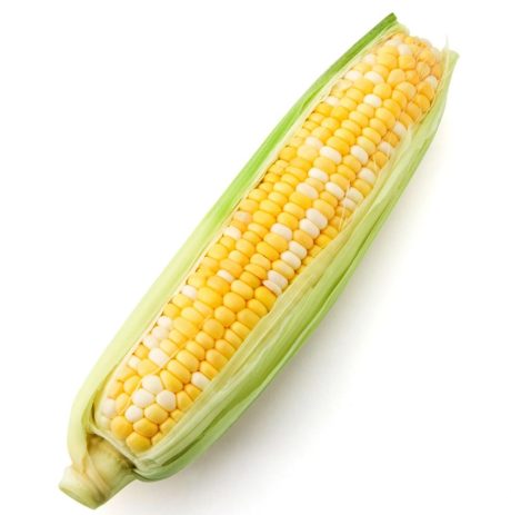 Fresh Sweet Corn on the Cob