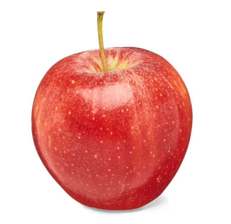 gala apple