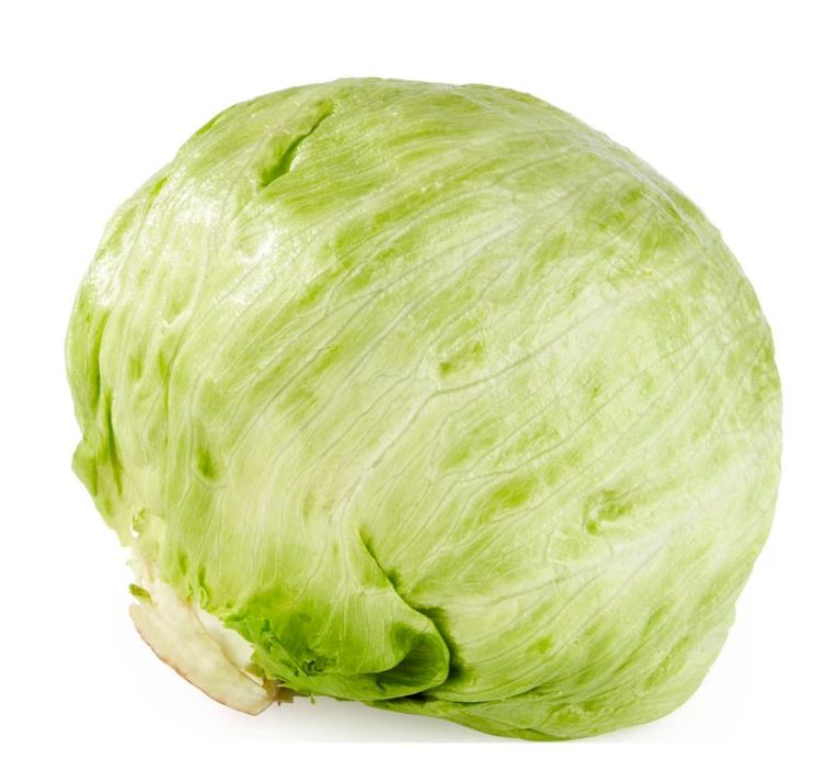 lettuce iceberg