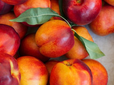 Fresh Nectarines