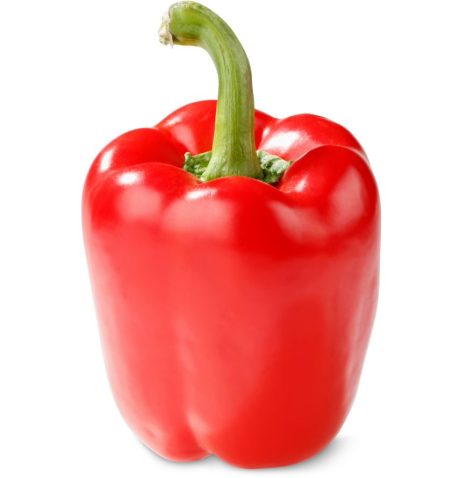 Fresh Red Bell Pepper