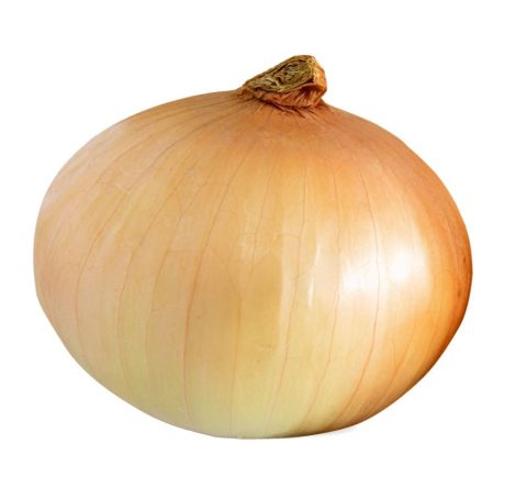 Spanish Onion