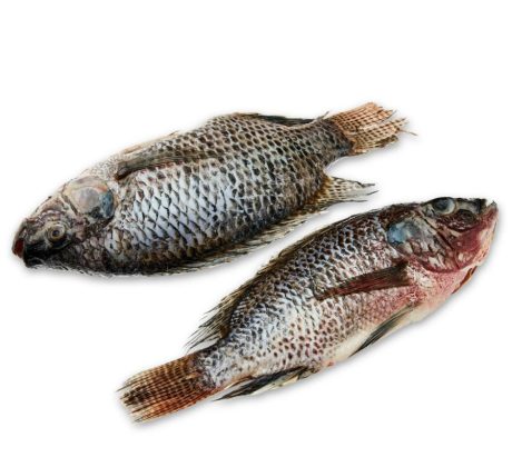 Fresh Whole Tilapia