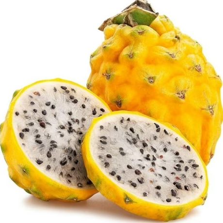Yellow Dragon Fruit